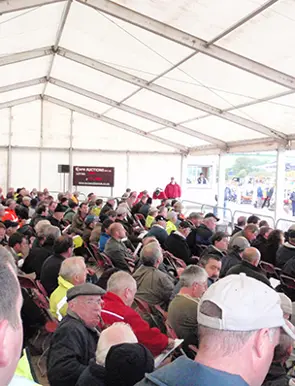 Uk Dromore First One Day Auction